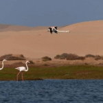 Everest Base Camp Trek: See the Majestic Mt. Everest