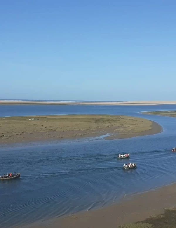 Profitez des plus belles activités côtières du Maroc